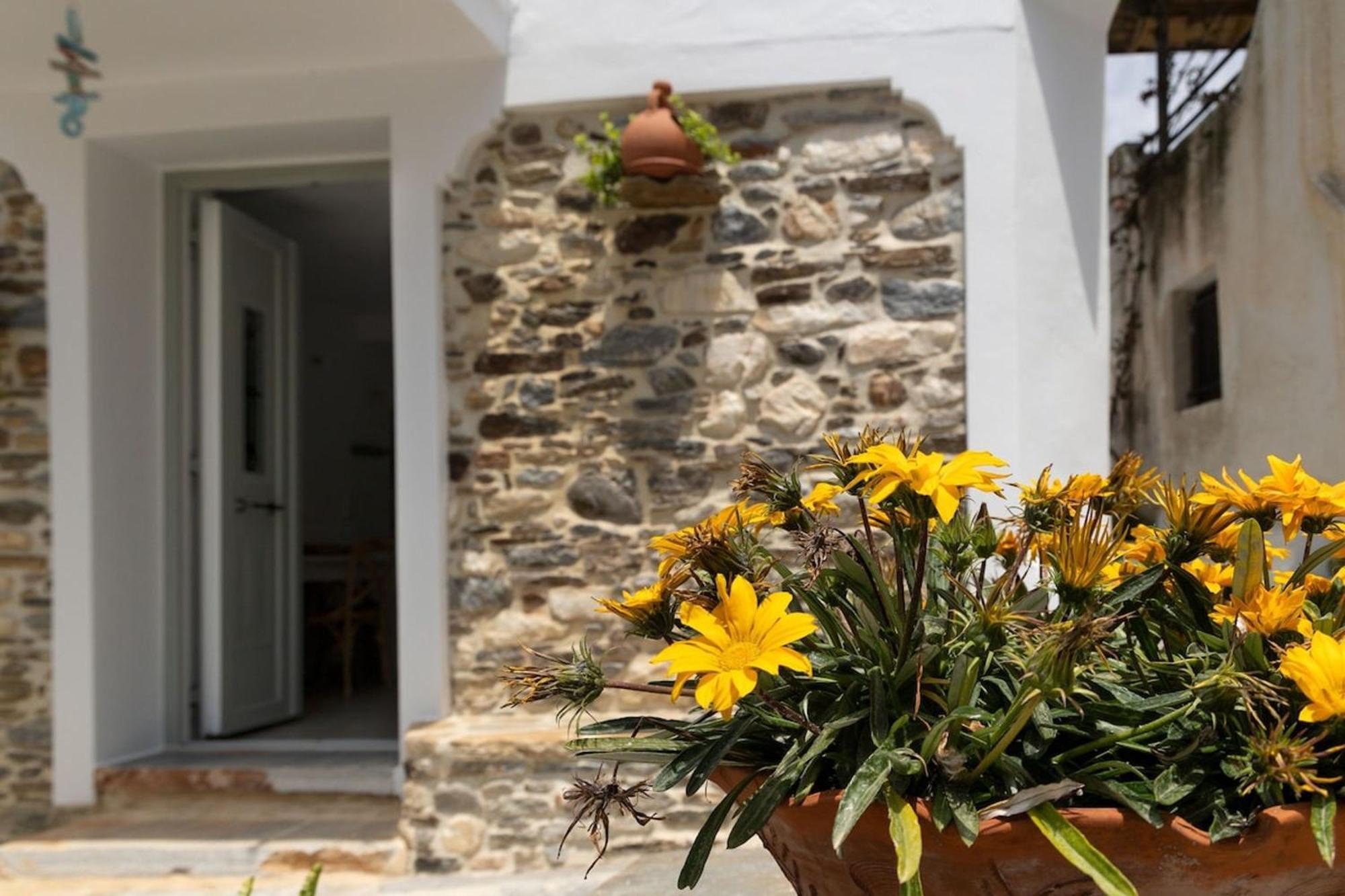 My Grandma'S Home Naxos Dhamarionas Εξωτερικό φωτογραφία